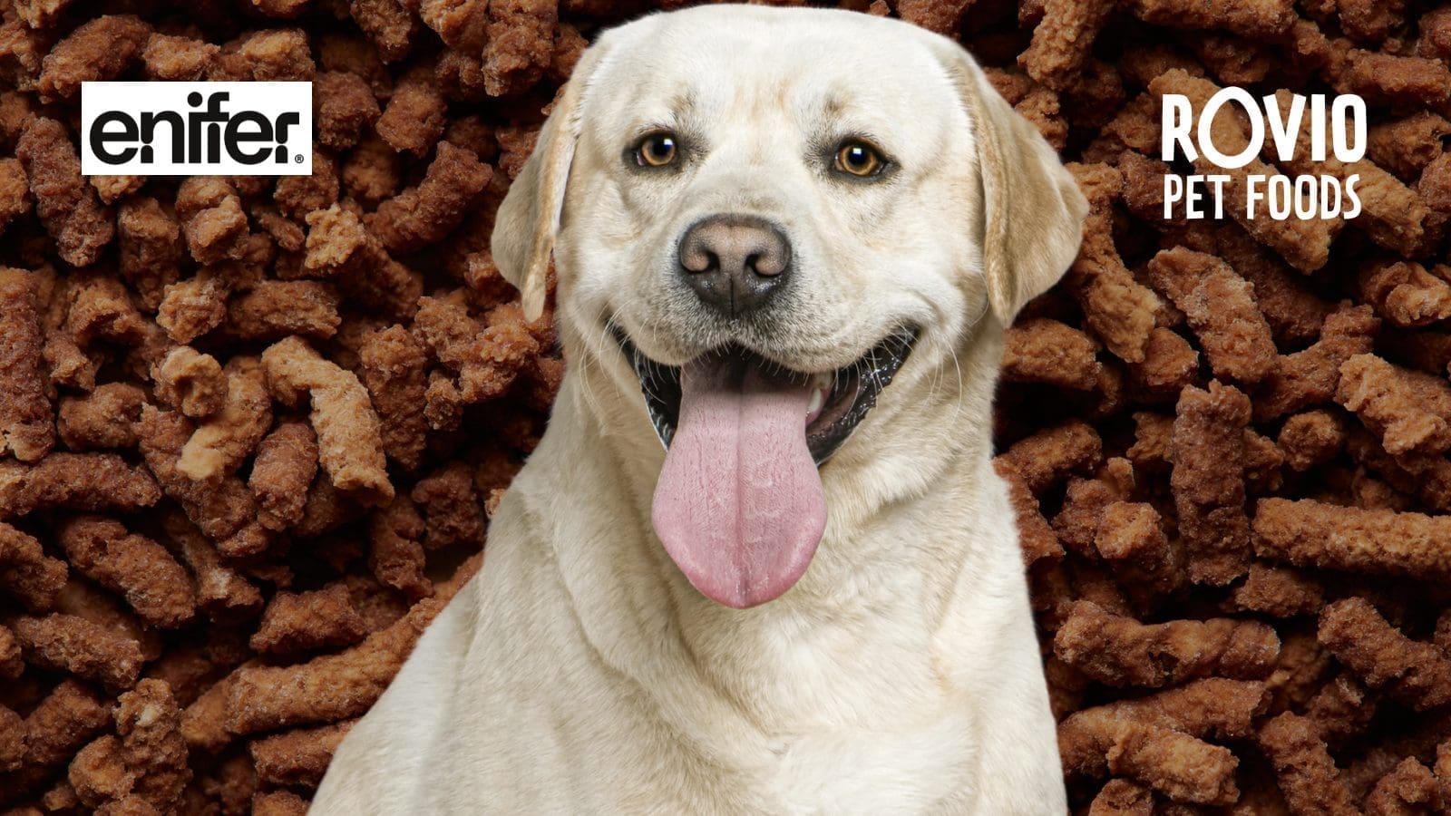 Enifer, Rovio launch PEKILO-based dog treat as demand grows for ...