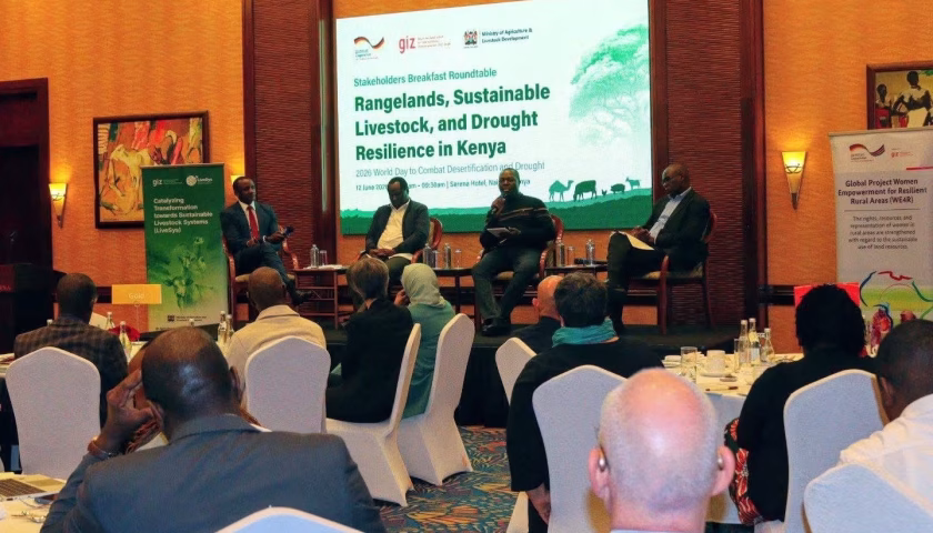 Thumbnail for Kenya to restore 13.5M hectares to boost livestock resilience and rangeland productivity