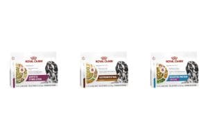 Royal Canin launches first fresh therapeutic diets for dogs in U.S. market