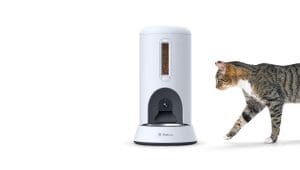Purina’s Petivity launches AI smart feeder to monitor cats’ eating habits